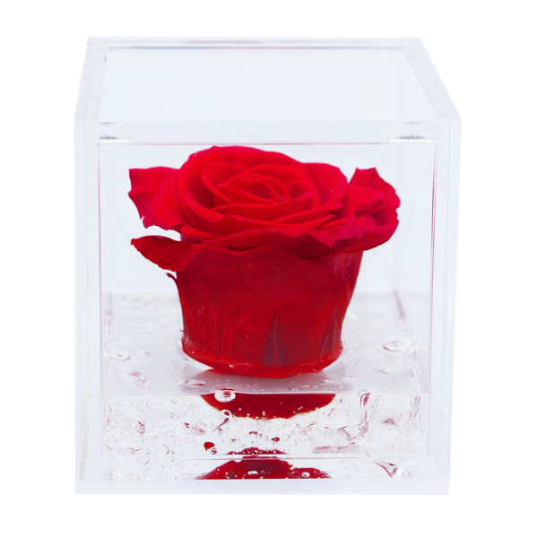 Flowercube – Rosa Preservada no Cubo (8x8)