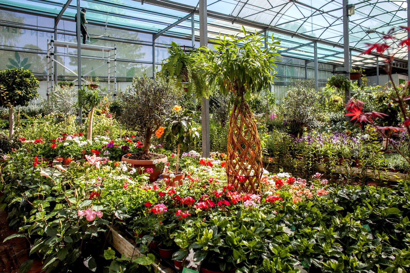 Contactos Horto Do Campo Grande Contactos Horto Do Campo Grande