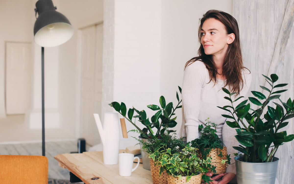 Cuidar de plantas é um desafio? Descubra 5 opções de fácil manutenção