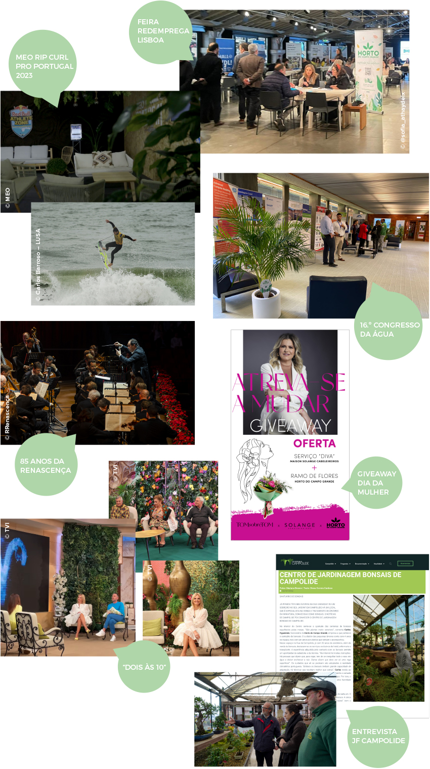 Photographs © Olissippo Lapa Palace Hotel