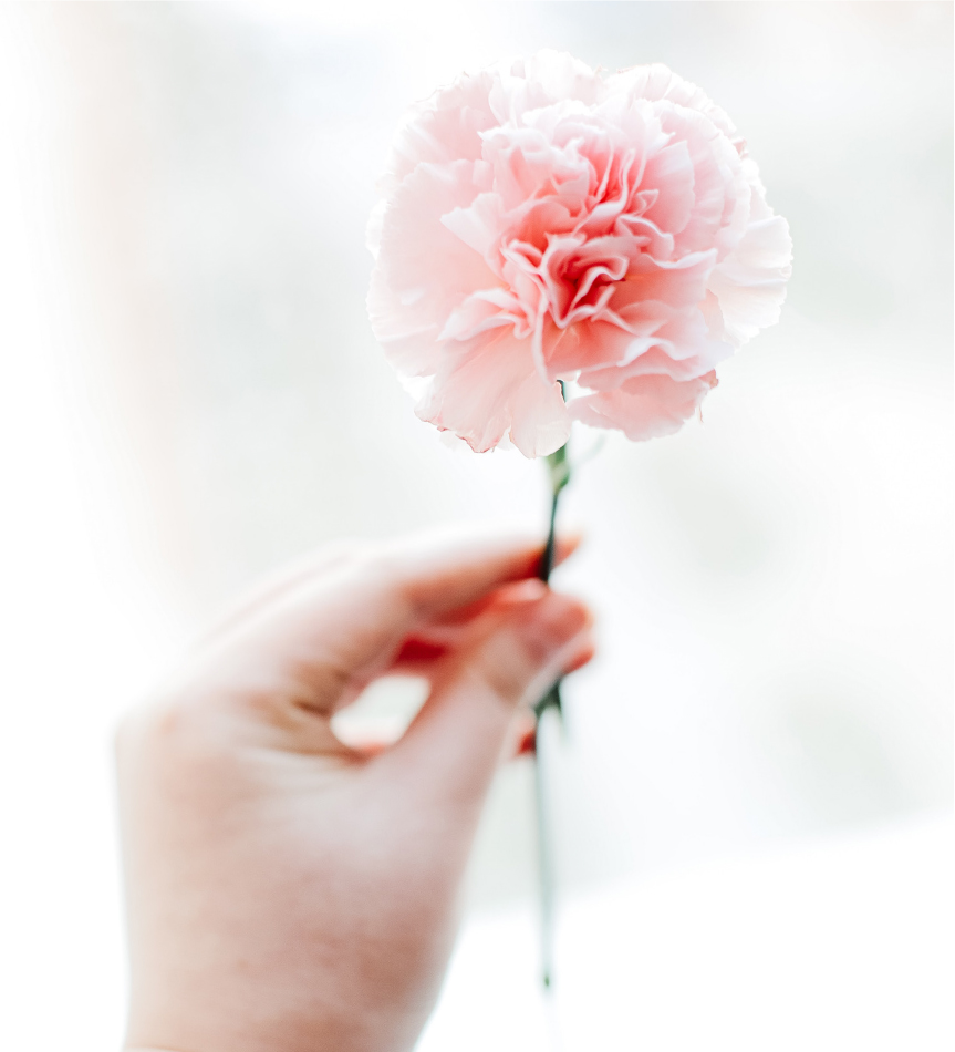 Cores e Flores para Mães Felizes