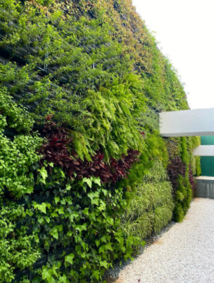 Palácio de Palhavã, stately memories