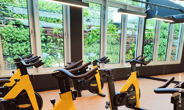 Garden design and construction: creative and versatile solutions that optimize space