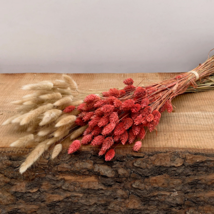 Palácio de Palhavã, stately memories