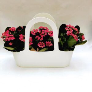 Bolsa Paris com Kalanchoes (3)