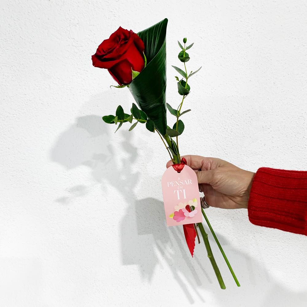 Endless Love (1 rosa)