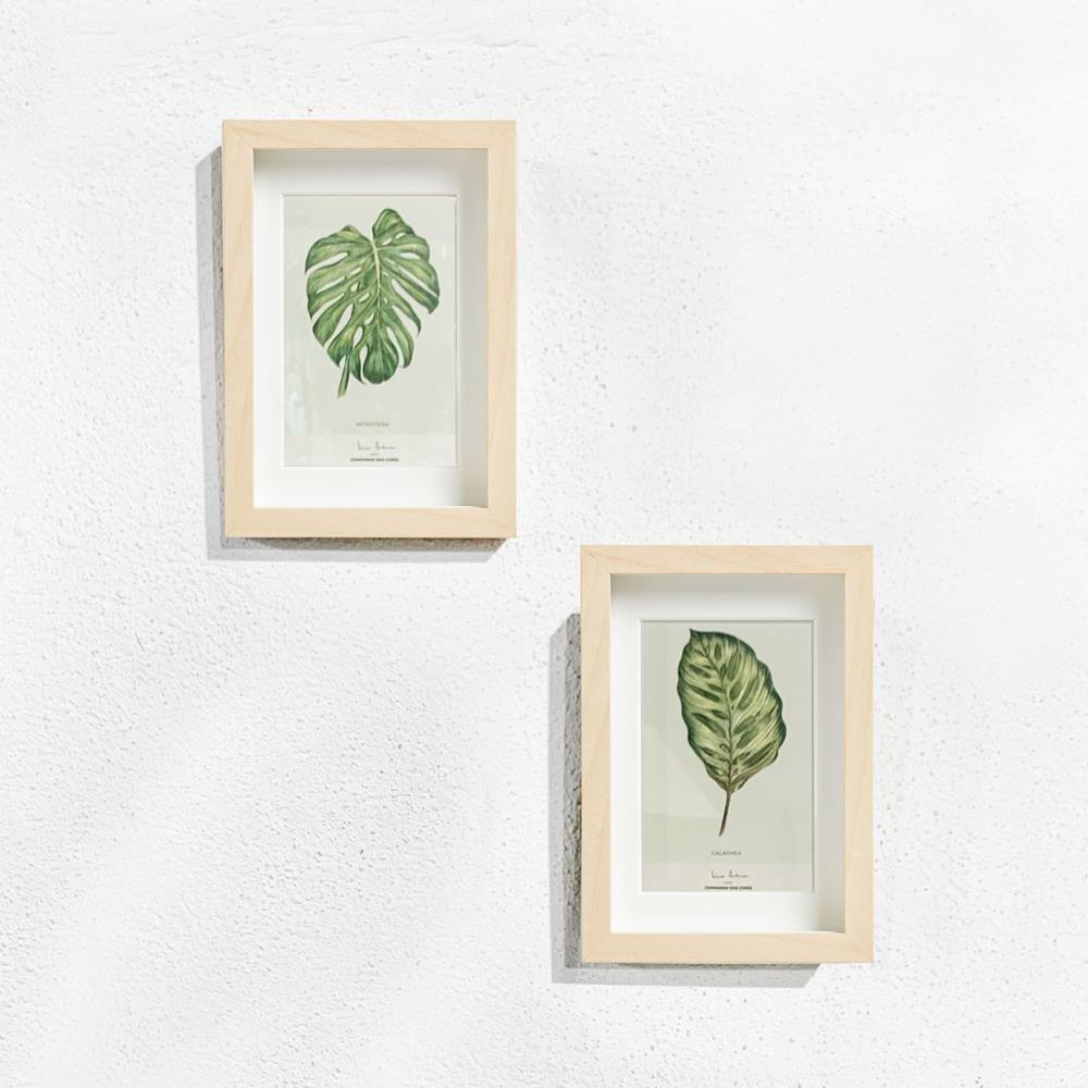 Watercolour illustration – Calathea or Monstera (big)