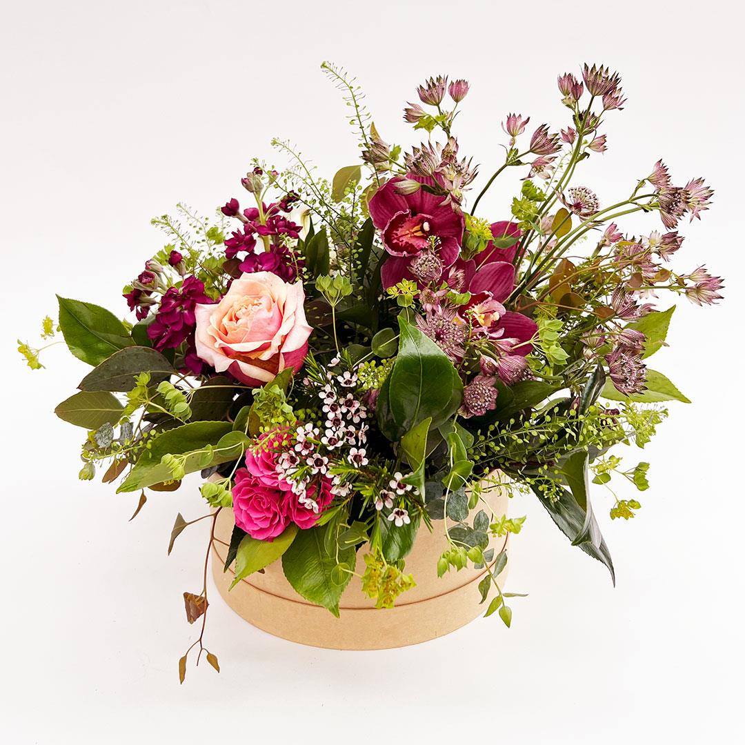 FlowerBox Orquideas Horto Do Campo Grande FlowerBox Orquideas Horto Do Campo Grande