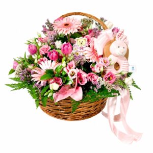 'Birth' Basket