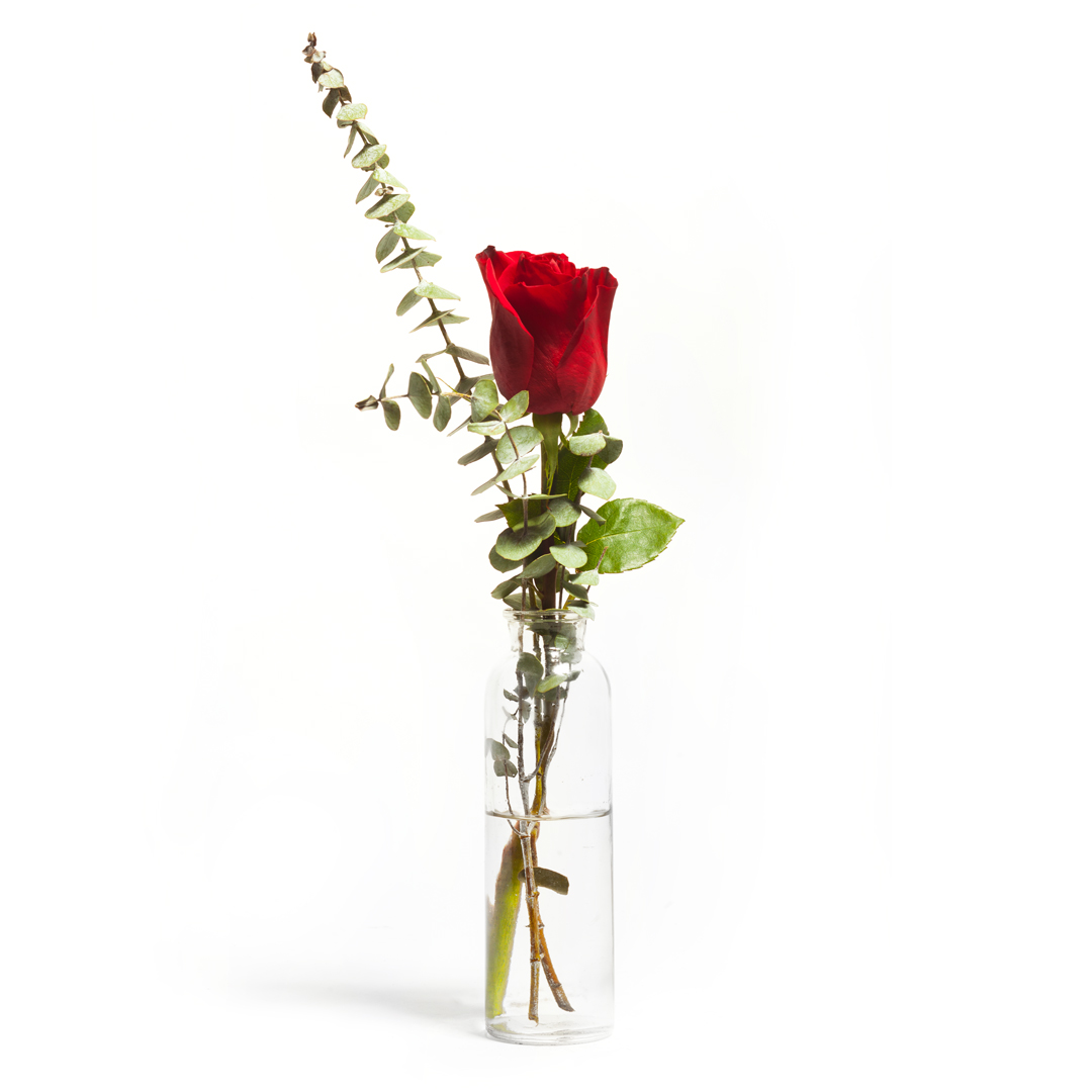 Rosa em solitário de vidro