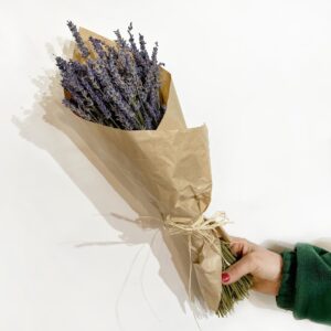 Lavanda Natural 32 pés - Flores Secas