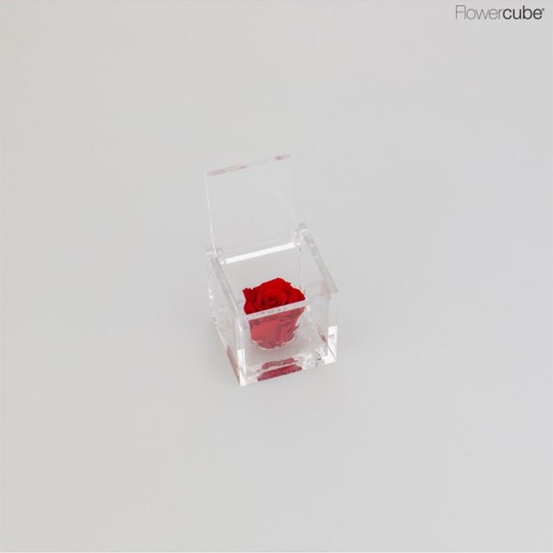 Flowercube – Rosa Preservada no Cubo – 4.5 cm