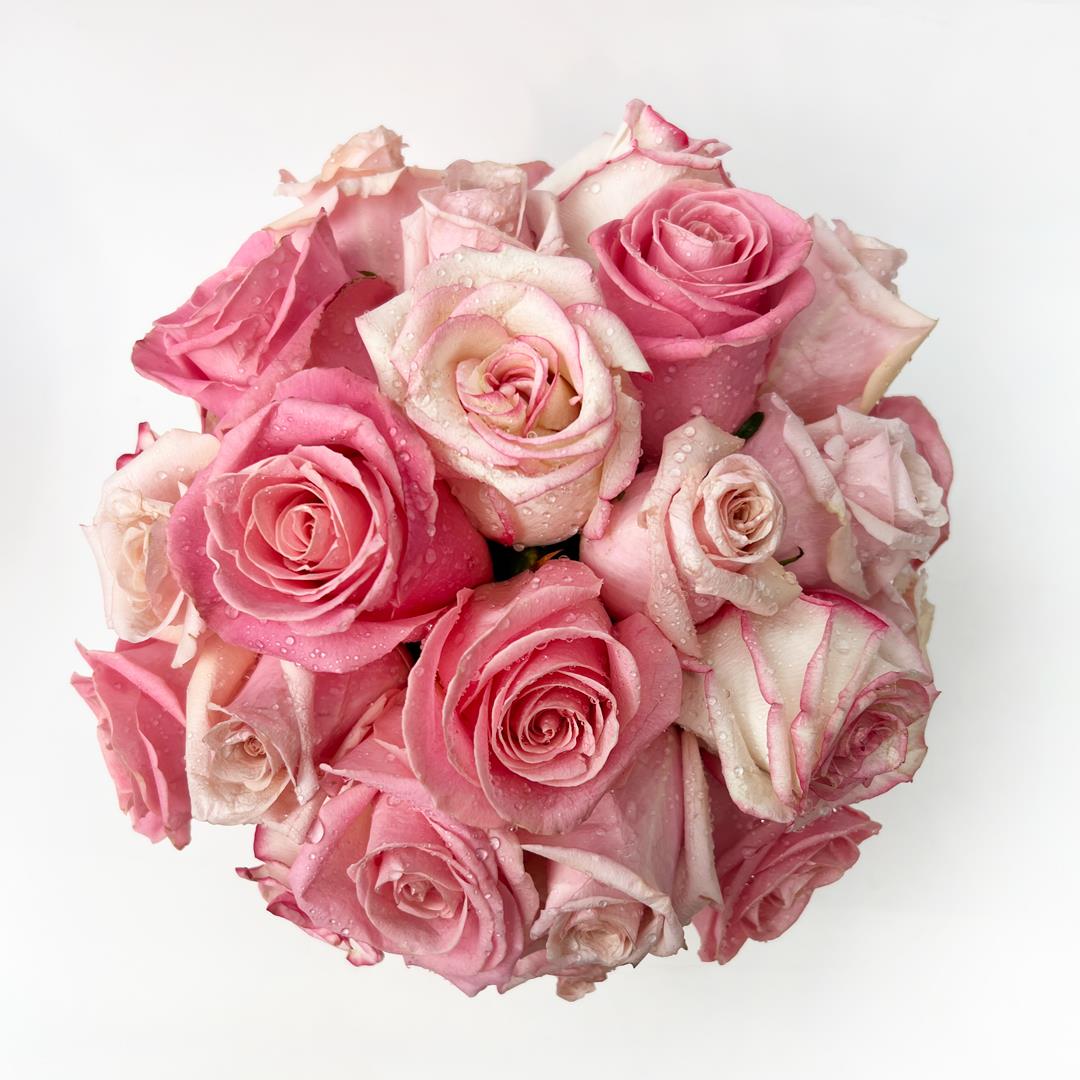 Cachepot com Rosas – Cor-de-Rosa Claro