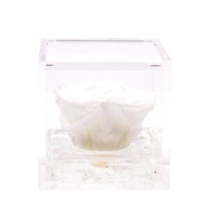 Flowercube - Rosa Preservada no Cubo - 6 cm