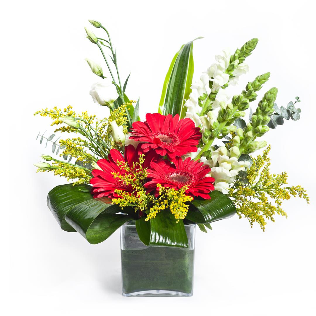 Arranjo com Gergeras em cubo de vidro