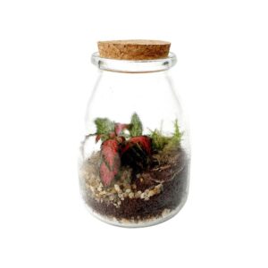 Terrário com tampa de cortiça (12,5cm altura)