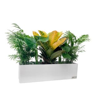 HORTO COLLECTION Rectangular planter box 60x17x17cm - black