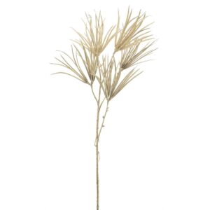 Haste de Tillandsia dourada (77cm altura)