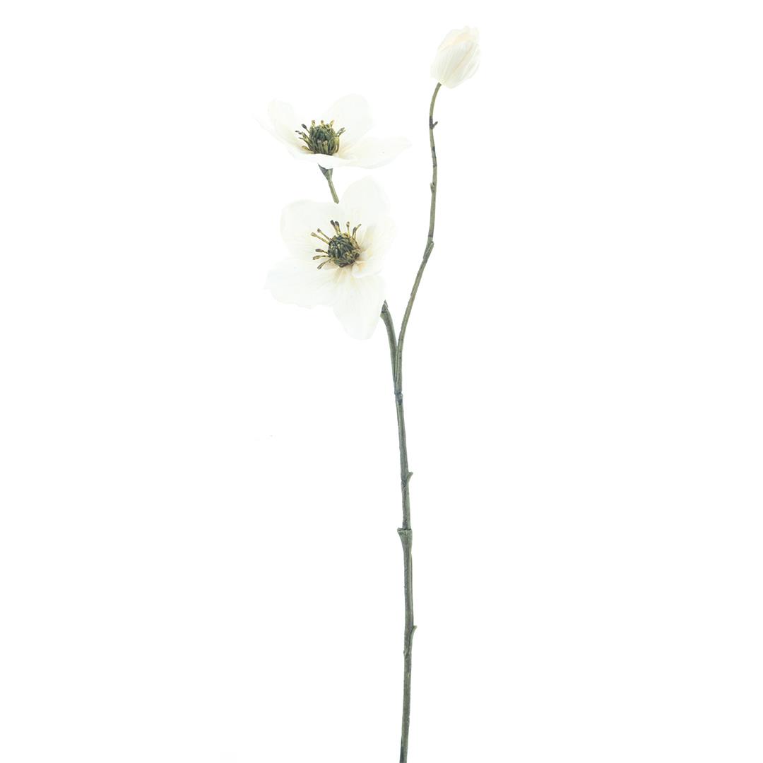 Rosa do Natal/Helleborus branco (56cm altura)