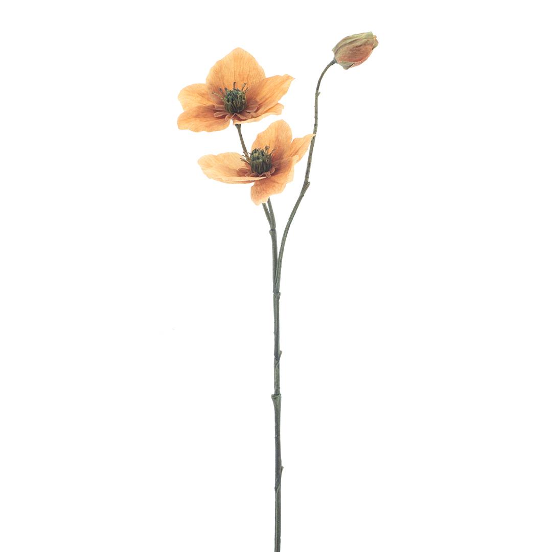 Rosa do Natal/Helleborus laranja (56cm altura)