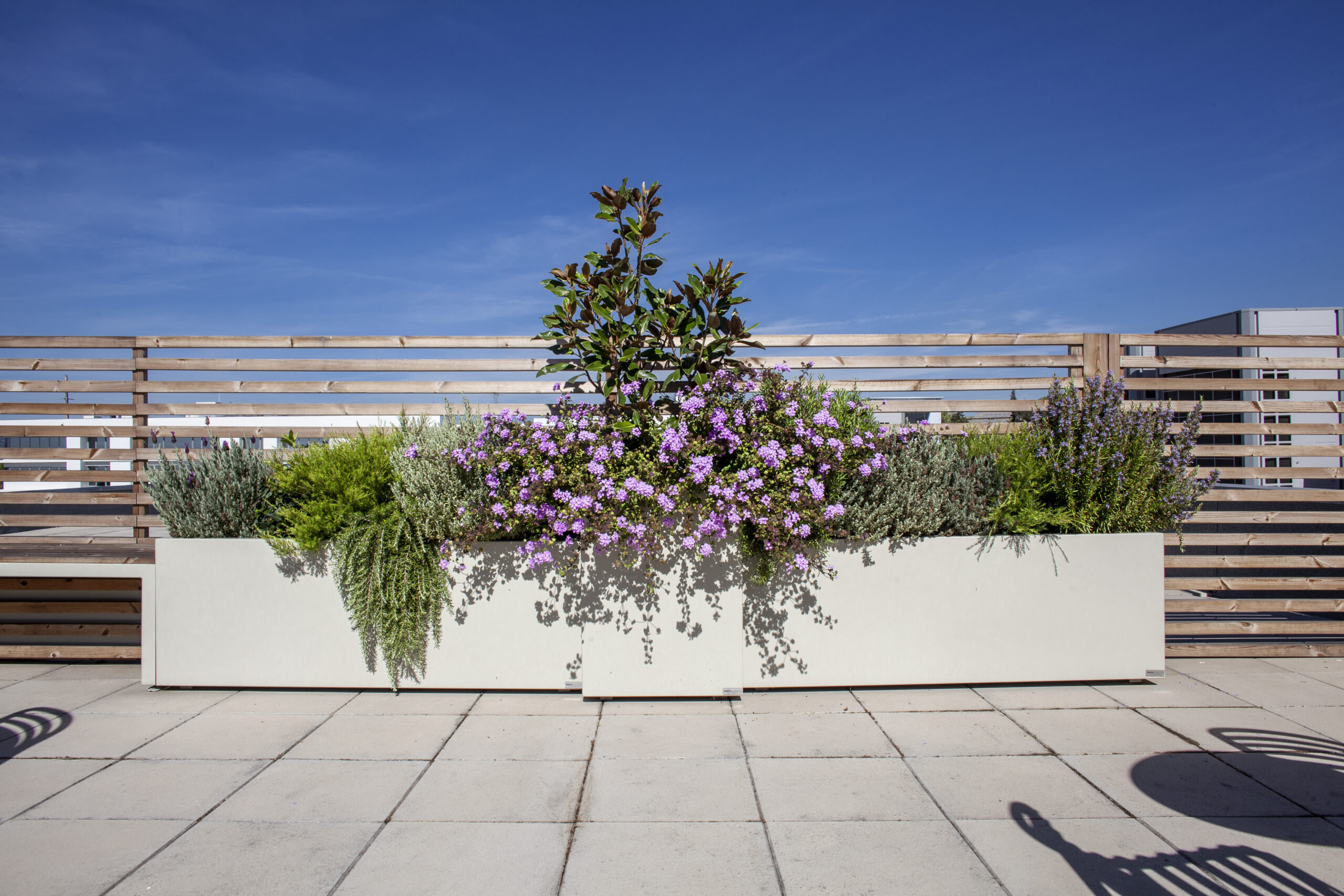 O Novo Rooftop do Novobanco