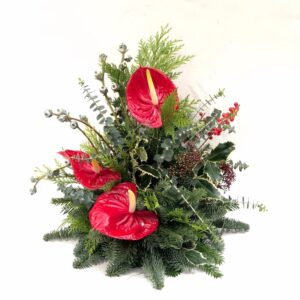 Natural Christmas arrangement with Holly and Anthuriums (40cm height)