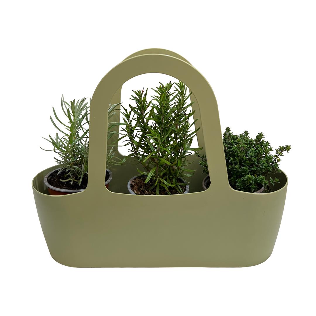 Bolsa Aromáticas ‘Boas Companheiras’ – Pack3 verde