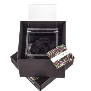Rosa preservada, em caixa Flowercube -  tom preto (10cm)