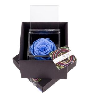 Rosa preservada, em caixa Flowercube - tom azul claro (6cm)