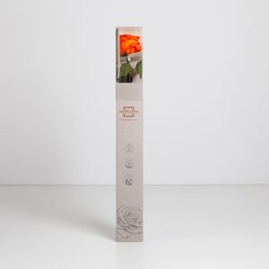 Rosa preservada laranja (26cm)