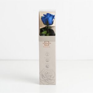 Rosa preservada azul (26cm)
