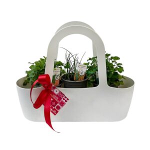 Bolsa Aromáticas 'Boas Companheiras' - Pack1 branco