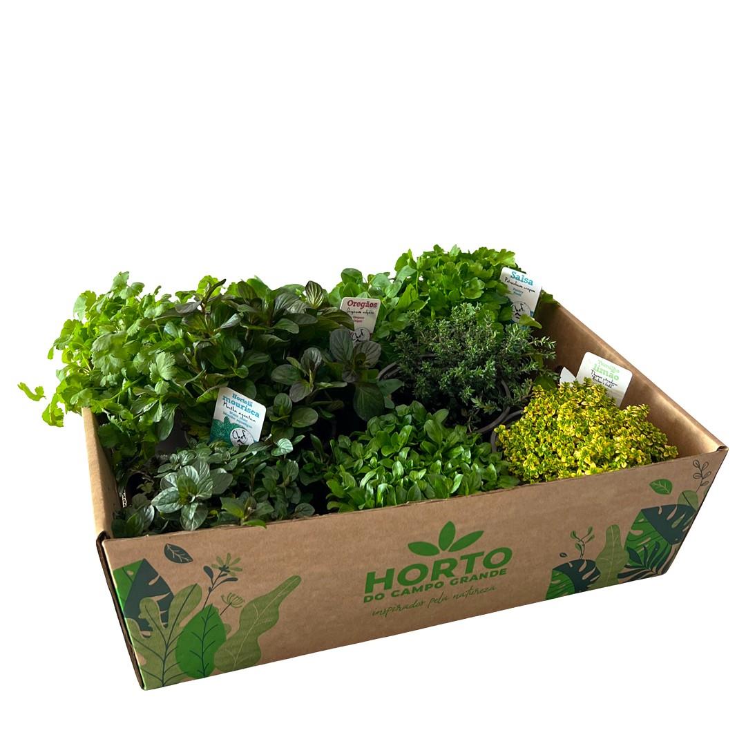 Caixa Aromáticas Surpresa (8x vasos 10,5cm)