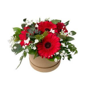 Arranjo 'Amizade' - Gerberas verrmelhas em caixa redonda