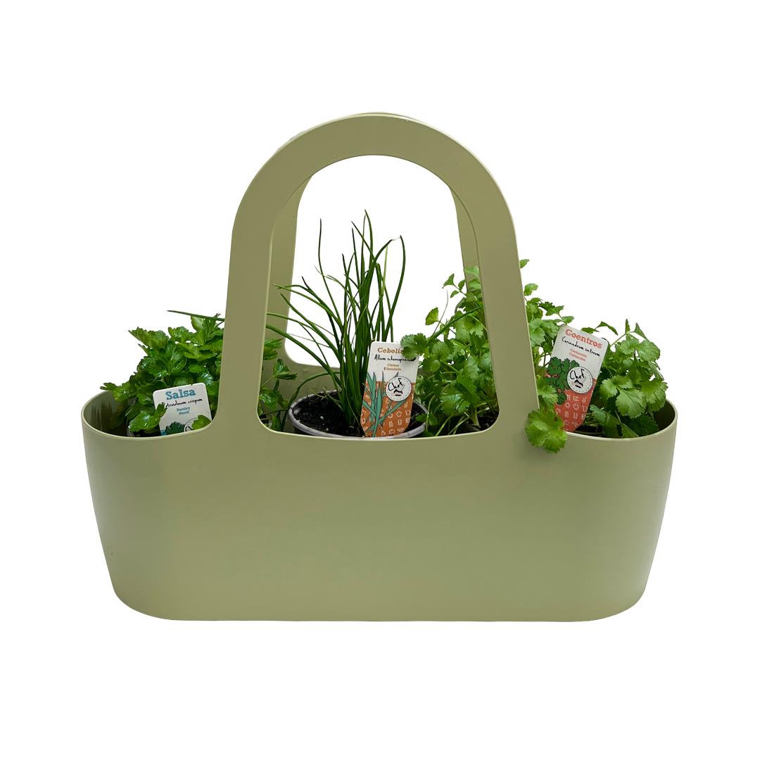 Bolsa Aromáticas ‘Boas Companheiras’ – Pack1 verde