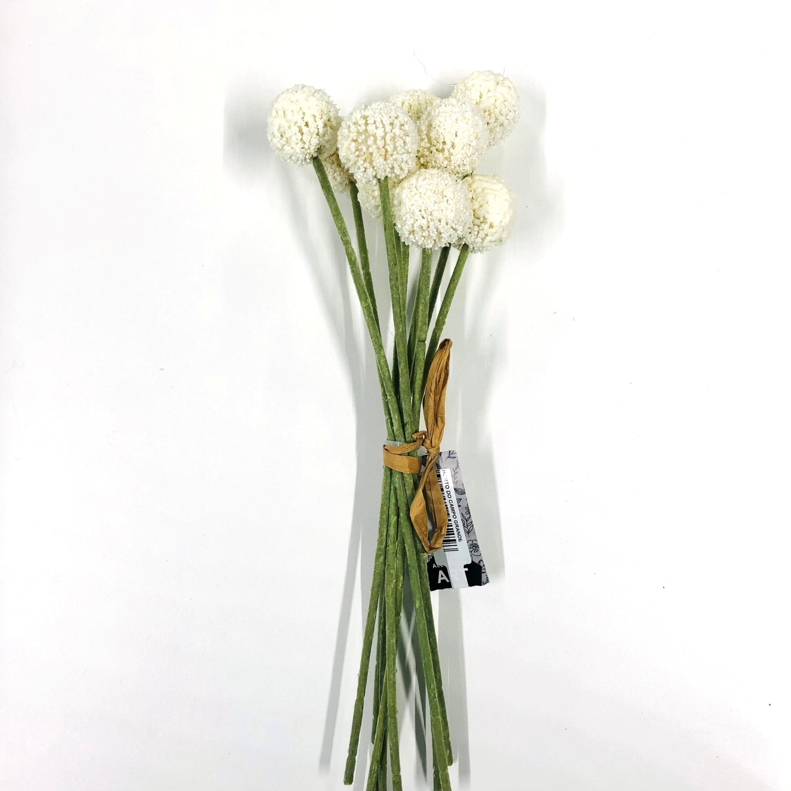Ramo Craspedia artificial – creme (28cm altura)