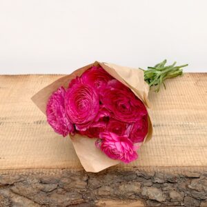 Molho de Ranúnculos - rosa forte