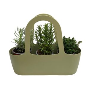 Bolsa Aromáticas 'Boas Companheiras' - Pack3 Alfazema + Alecrim + Tomilho (verde)