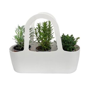 Bolsa Aromáticas 'Boas Companheiras' - Pack3 Alfazema + Alecrim + Tomilho (branco)
