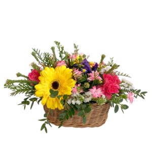 Cesta Primavera 'Natura Style'