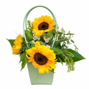 Arranjo 'Raio de Sol' - Girassóis em bolsa reutilizável