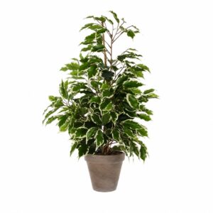 Artificial variegated ficus in a ceramic pot (65 cm tall) - dark and light green