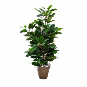 Artificial ficus in ceramic pot (65cm height) - green