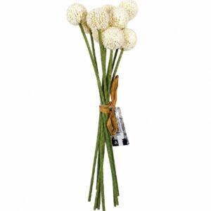 Artificial Craspedia Bunch (28cm height) - cream