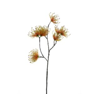 Artificial Banksia stem (70 cm tall) - yellow