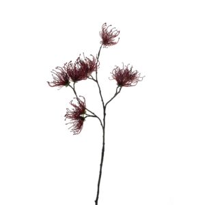 Banksia Stem (70cm height) - red