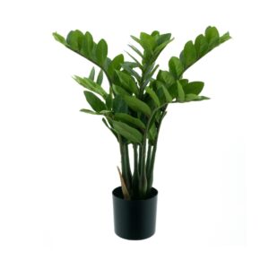 Zamioculca artificial (60cm altura)