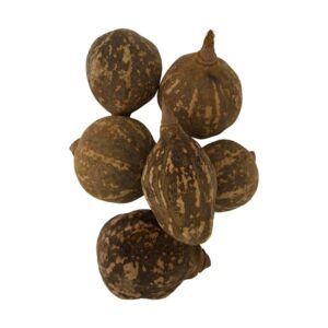 Elementos decorativos naturais BAOBAB - conjunto 6 peças