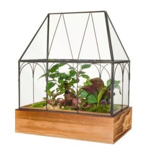 Greenhouse Terrarium (30cm height x 26cm width)